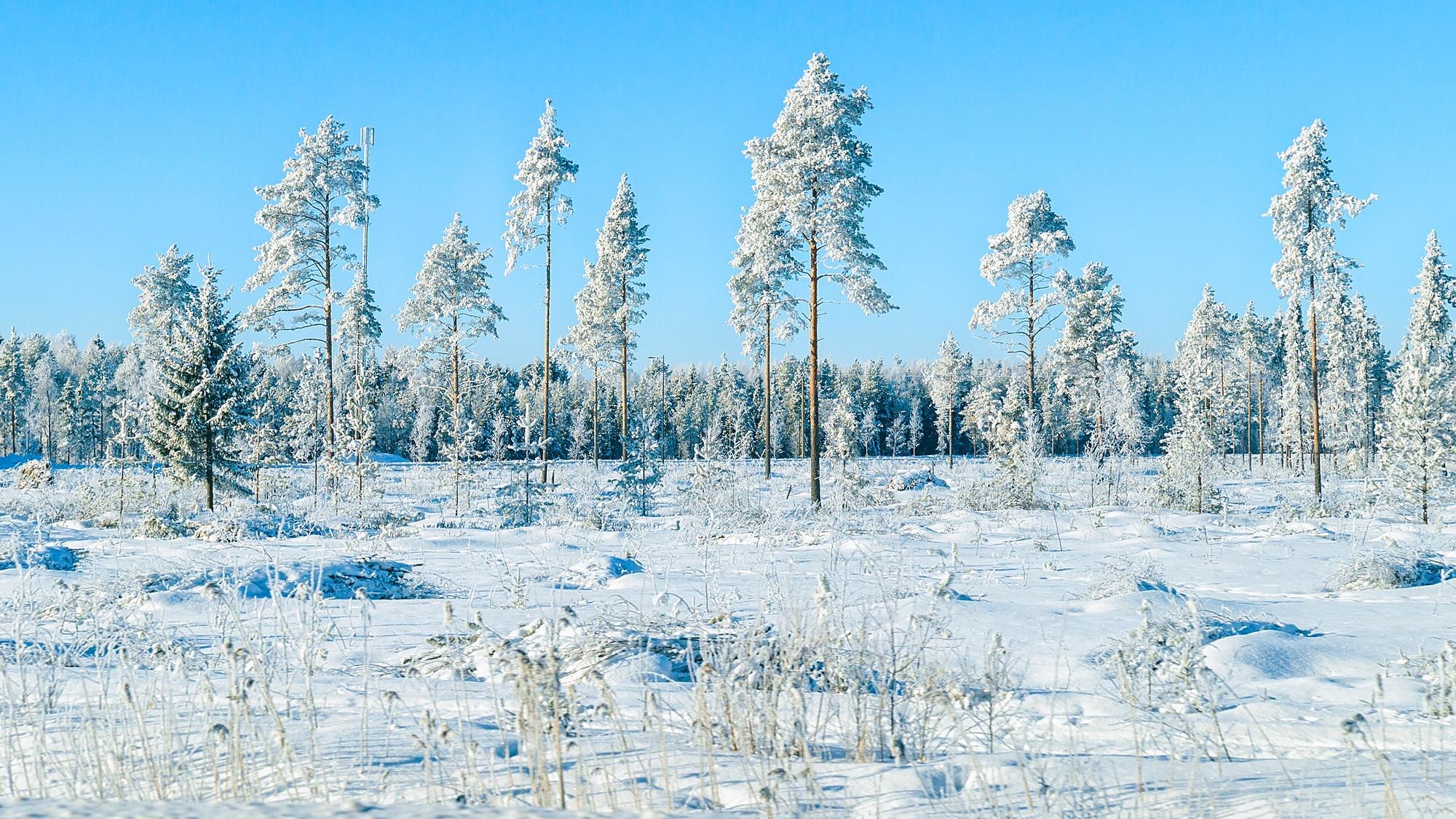 Sverige bakom krav på starkare EU-roll i Arktis