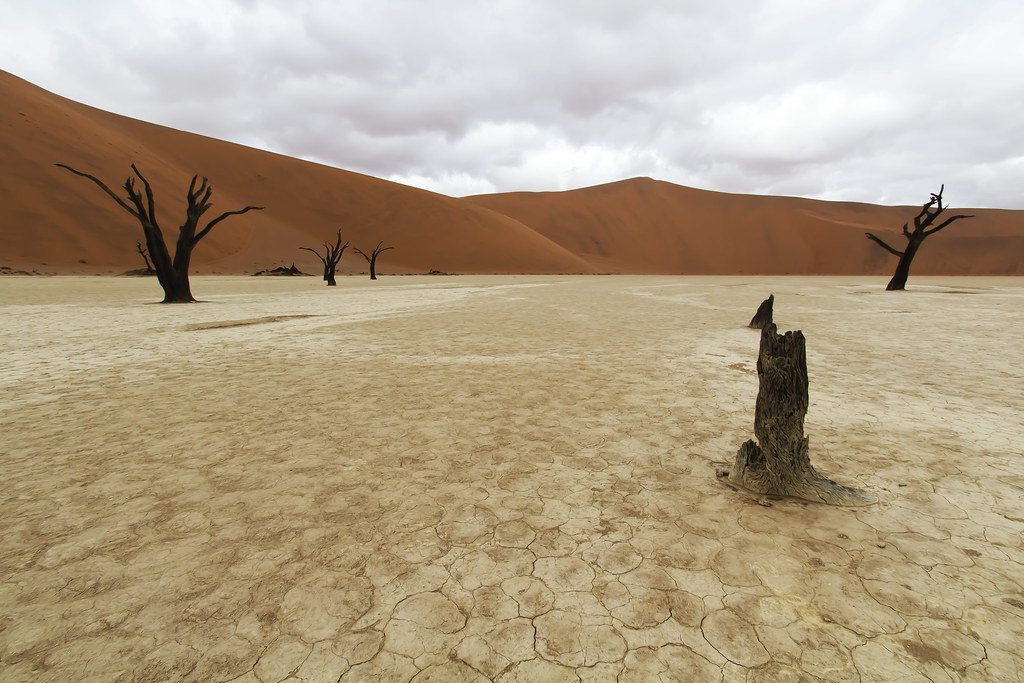 Namibia – Utforska Oändliga Öknar och Rikt Djurliv