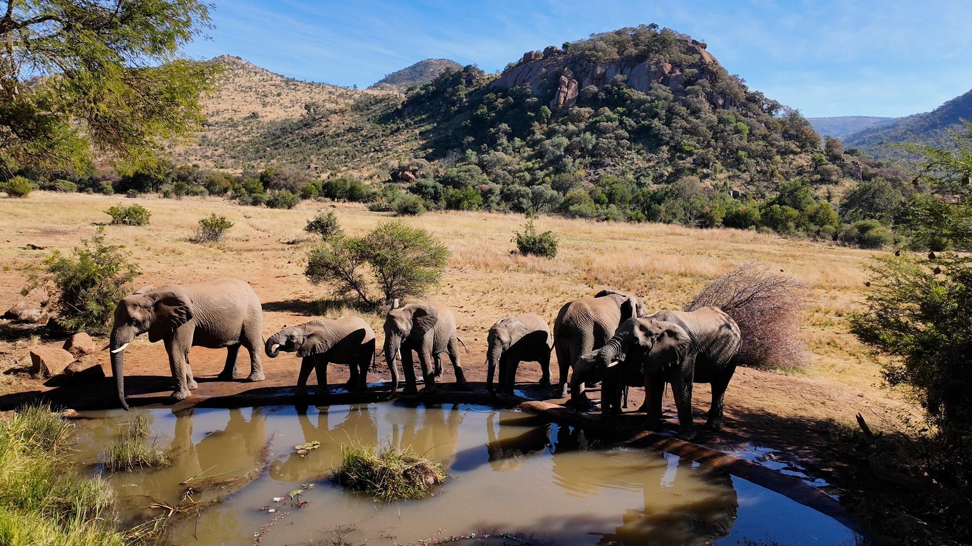 Södra Afrika – safari, vinregioner, kust och några av kontinentens mest lättresta länder